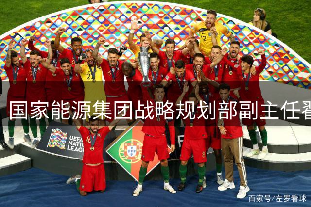 国家能源集团战略规划部副主任翟文被查