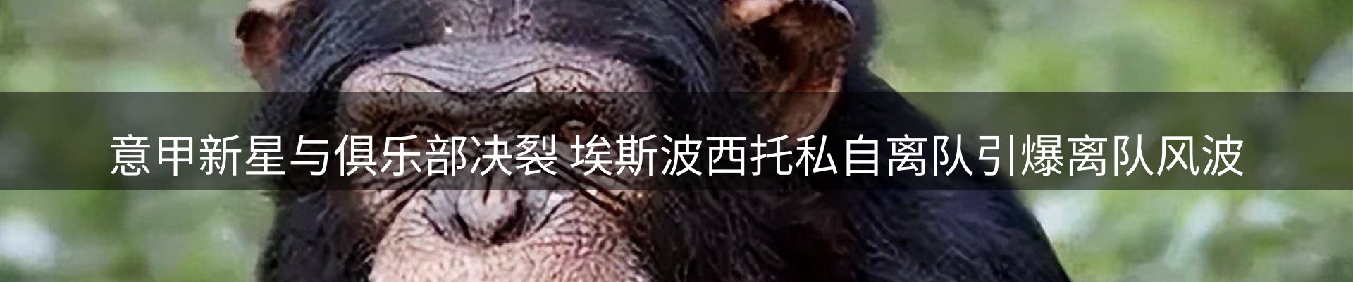 今日资讯