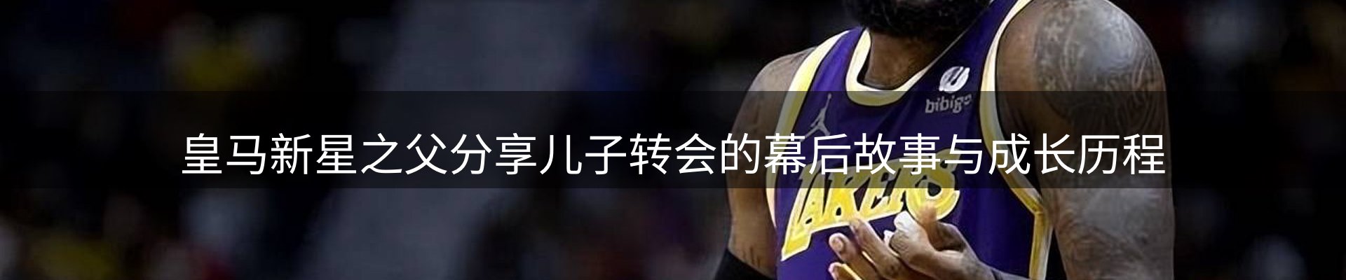 公司导读