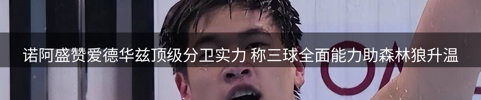 公司导读